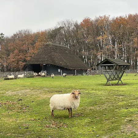Private Tiny House In Near Amsterdam!