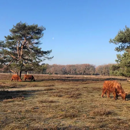 Casa de Férias Private Tiny House In Near Amsterdam!