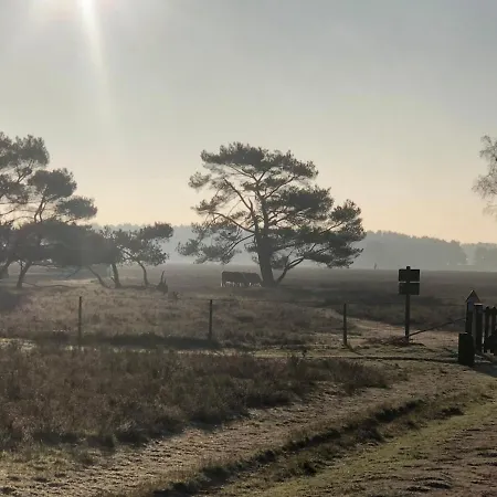 Casa de Férias Private Tiny House In Near Amsterdam! *